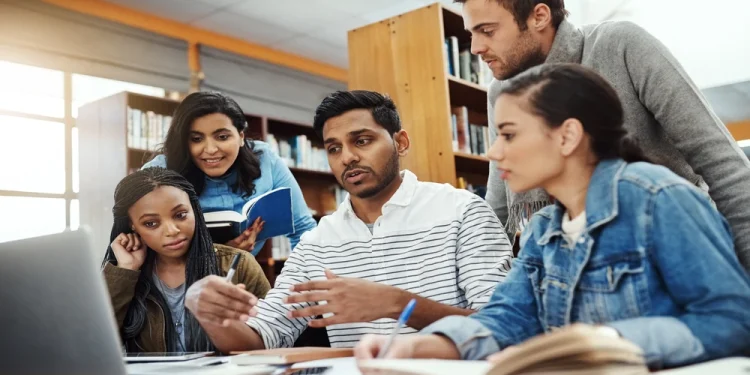 Building Environmental Policy Skills with a Master of Sustainability Academic Excellence
